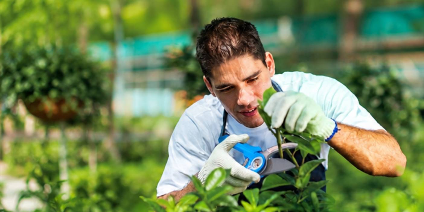 Jardinero utilizando unas tijeras de podar ergonómicas.